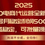 (14839期)2025PDD电商代运营全新玩法,单号月稳定利润5000+,收益稳定,可批量操作