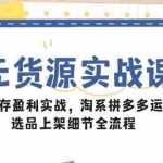 (14831期)无货源实战课:零库存盈利实战,淘系拼多多运营,选品上架细节全流程