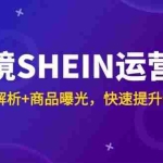 (14832期)跨境SHEIN运营课,全流程解析+商品曝光,快速提升新店销量
