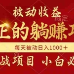 (14921期)被动收益,真正实现躺赚,并且每月收益逐月增加,自己做老板
