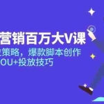 (14920期)短视频营销百万大V课,账号定位策略,爆款脚本创作,DOU+投放技巧