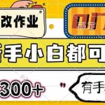 (14914期)线上批改作业 0门槛 新手小白都可做 日入300+ 有手机即可