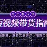 (14912期)2025短视频带货指南,人设账号搭建,爆款文案创作,表现力速成训练