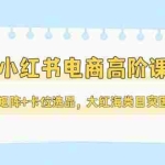(14940期)小红书电商高阶课,多店矩阵+卡位选品,大红海类目突围指南(更新5月)
