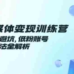 (14966期)AI自媒体变现训练营,平台选择避坑,低粉账号高变现方法全解析