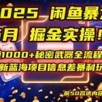 (14964期)2025闲鱼暴力掘金实操!日赚1000+秘密武器全流程曝光,最新蓝海项目信…