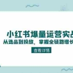 (15022期)小红书爆量运营实战课:从选品到投放,掌握全链路增长方法论