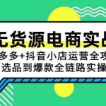 (15006期)无货源电商实战:拼多多+抖音小店运营全攻略,选品到爆款全链路实操