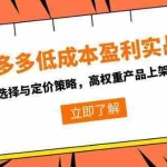 (15143期)拼多多低成本盈利实战,类目选择与定价策略,高权重产品上架实操