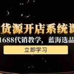 （15129期）无货源开店系统课程，手动上架与1688代销教学，蓝海选品四步法实战