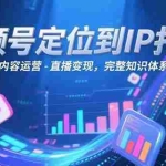 (15173期)视频号定位到IP打造:账号搭建-内容运营-直播变现,完整知识体系