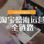 (15160期)淘宝蓝海运营全链路,从选品到流量变现,小类目突围完整方案