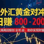 (15198期)掌握外汇黄金对冲策略,日赚 800 – 2000,小众高回报创业机会,助你实…