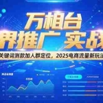 (15192期)万相台无界推广实战课,关键词测款加人群定位,2025电商流量新玩法
