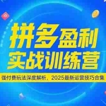 (15183期)拼多多盈利实战训练营,强付费玩法深度解析,2025最新运营技巧合集