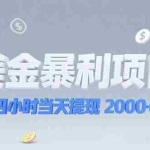 (15251期)美金暴利项目,四小时当天提现 2000+机会留给会选赛道的人