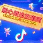 (15291期)随心推投放指南,脚本设计加数据监测,三阶段自然流拉升策略