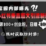 (15313期)首富圈内部曝光小红书垂直图文引流新课,日吸300+创业粉,日赚800+,限…