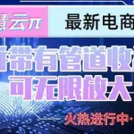 (15314期)智慧云π电脑挂机单机每天收益300—500+ 并带有团队管道收益 可无限放大