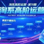 (15307期)淘系高阶运营-第70期,标品干爆技巧,解决难点策略,大佬操盘方法