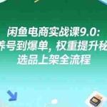 (15325期)闲鱼电商实战课9.0:从养号到爆单,权重提升秘籍,选品上架全流程