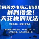 (15323期)电脑云机项目 暴力撸金玩法,不需要养机 配置没有要求 单机100个窗口一…