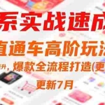 (15374期)淘系实战速成课,直通车高阶玩法,搜索流量提升,爆款全流程打造(更新7月)