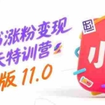 (15432期)小红书涨粉变现120天特训营Pro版11.0:从0到1掌握平台运营,内容制作和变现