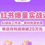 (15462期)小红书爆量实战课:AI选品工作流,素材批量处理,单店月利润突破25万元