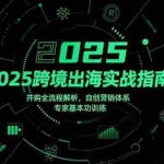 (15503期)2025跨境出海实战指南,并购全流程解析,自创营销体系,专家基本功训练