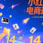 (15490期)小红书虚拟电商速成课:个人定位分析,原创产品开发,14天变现路径规划