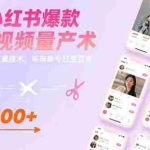 (15542期)AI+小红书爆款视频量产术:全自动剪辑去重技术,矩阵账号日更百条