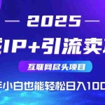 (15531期)2025网创尽头项目,私域IP+引流,新手小白也能在家日入1000+