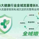 (15611期)2025大健康行业全域流量增长8.0体系,从流量获取到私域沉淀的完整商业闭环