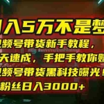 (15595期)月入5万不是梦!视频号带货新手教程,7天速成,手把手教你赚钱!视频号…