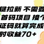(15588期)一键拉新 不需要回传 首码项目 接个验证码就算完成 一小时收益70+