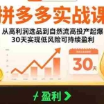 （15586期）拼多多实战课：从高利润选品到自然流高投产起爆 30天实现低风险可持续盈利