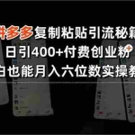 (15613期)拼多多复制粘贴引流秘籍,日引400+付费创业粉,小白也能月入六位数实操…