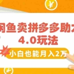 (15634期)闲鱼卖拼多多助力项目4.0玩法,蓝海市场小白也能日入1000