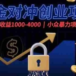 (15642期)美金对冲创业项目,日收益1000-4000,小众暴力项目