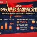 （15687期）2025拼多多盈利突围战：卷王开年作战室，新手突围四大隐形技巧(更新8月)