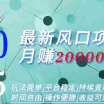 (15694期)2025广告赛道新风口-月赚2W+玩法简单,时间自由
