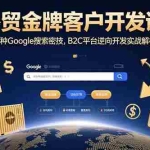(15724期)外贸金牌客户开发课,12种Google搜索密技,B2C平台逆向开发实战解析
