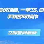 (15714期)蓝海风口差价项目,一单35,日入3500+,手机即可操作