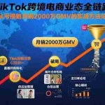 (15706期)拆解TikTok跨境电商业态全链路课程:从亏损到月销2000万GMV的实战方法论