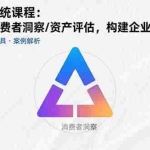 (15772期)品牌建设系统课程:战略定位/消费者洞察/资产评估,构建企业核心竞争力