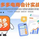 (15767期)拼多多电商会计实战课:轻松掌握拼多多特有的会计逻辑与数据分析能力