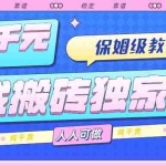 (15813期)游戏搬砖独家玩法,日入千元,保姆级教学,人人可做,纯干货