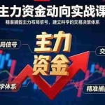 (15804期)主力资金动向实战课-8月:精准捕捉主力布局信号,建立科学的交易决策体系