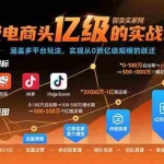 (15803期)亿级电商头部卖家的实战课程:涵盖多平台玩法,实现从0到亿级规模的跃迁